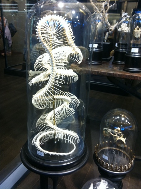 cloches with vertebrae