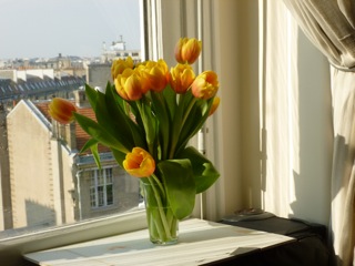 Flowers in the window