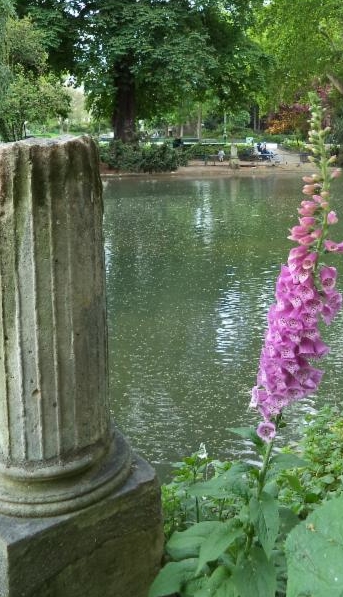 An afternoon stroll through the serene Parc Monceau led Melissa to a vibrant bed of foxgloves....