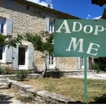 Adopting a Provence  Pet Project