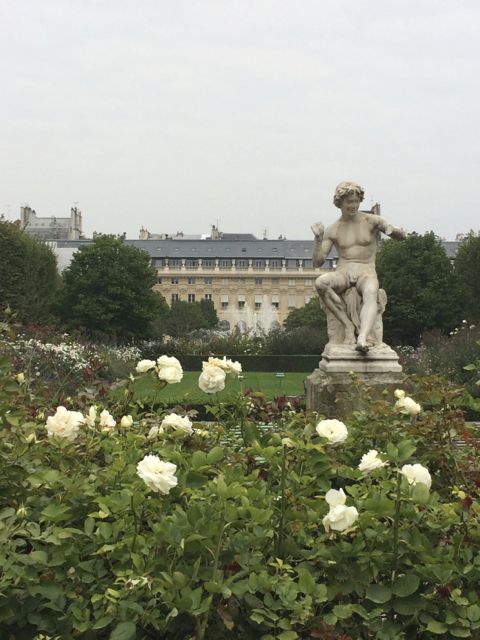 The gorgeous gardens at Palais Royale.