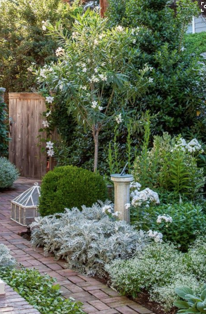 More from Tone on Tone: a perfect little border garden (and boxwoods!) (Southern Living with photo by Helen Norman)