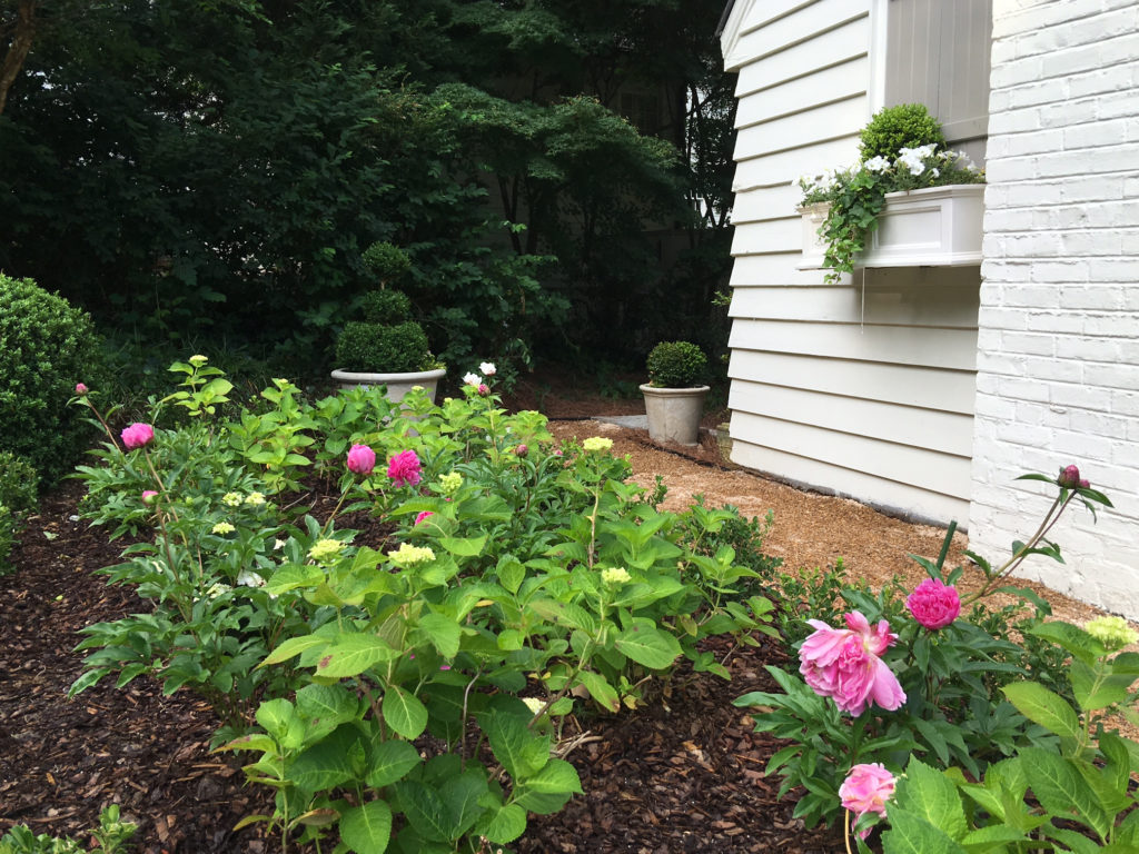 Landscape Before and After