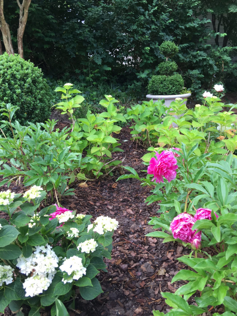 Landscape Before and After