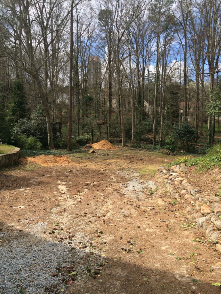 The back yard in desperate need of help.