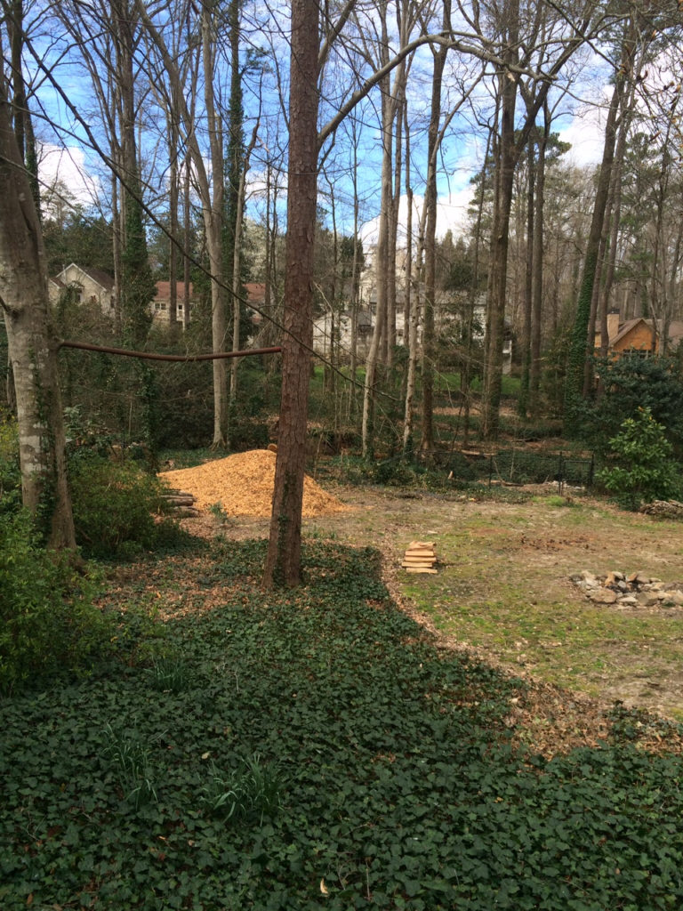 Landscape Before and After