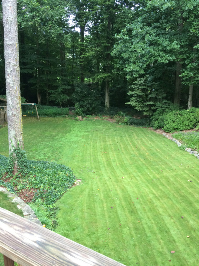 Landscape Before and After