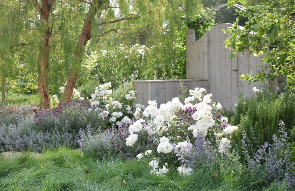 Landscape Before and After